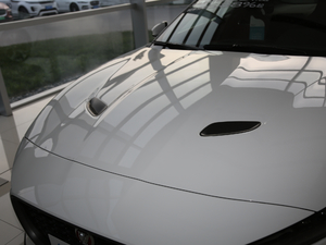 2021P300 First EditionӲ픰 ^