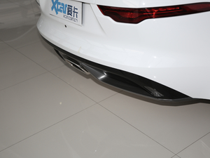 2021P300 First EditionӲ픰 ^