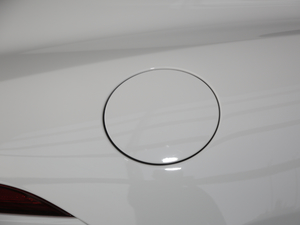 2021P300 First EditionӲ픰 ^