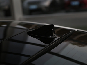 2021P300 First EditionӲ픰 ^