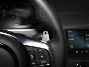 2021P300 (q)First EditionӲ픰 п؅^(q)