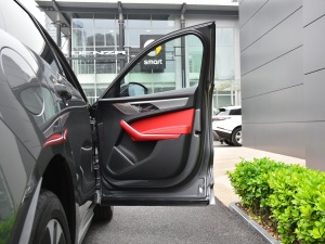 2021340PS R-Dynamic SE g