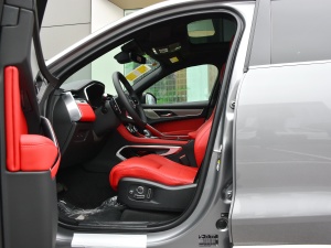 2021340PS R-Dynamic SE ǰſg