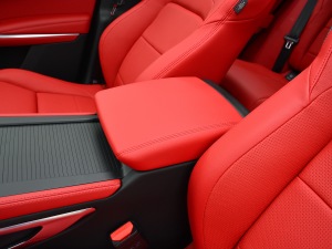 2021340PS R-Dynamic SE 