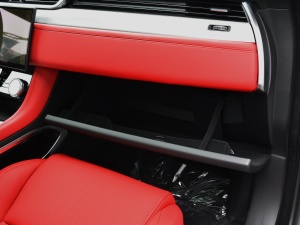 2021340PS R-Dynamic SE 