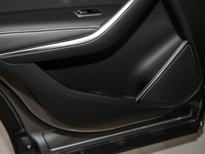 2021250PS R-Dynamic SE g