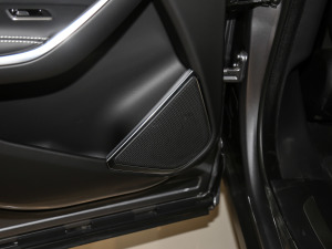 2021250PS R-Dynamic SE g