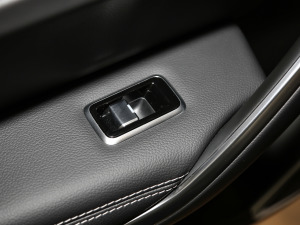 2021250PS R-Dynamic SE g