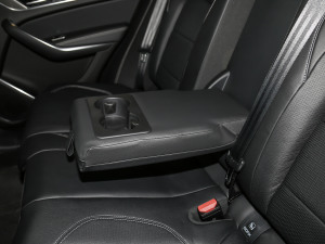 2021250PS R-Dynamic SE 