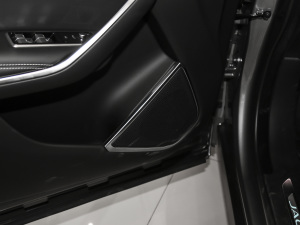 2021250PS R-Dynamic SE g