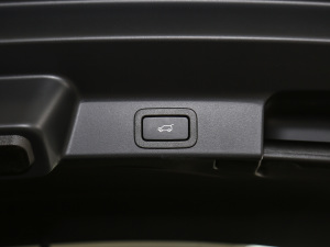 2021250PS R-Dynamic SE g