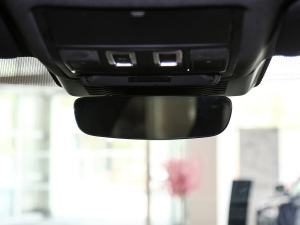 2021250PS R-Dynamic SE ܇(ch)(ni)ҕR