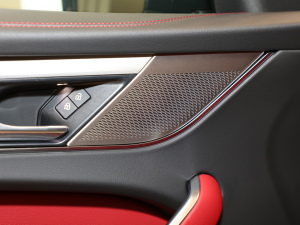 2021250PS R-Dynamic S g