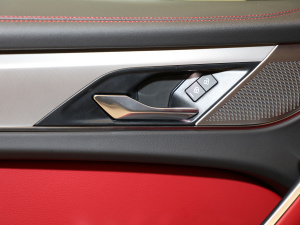 2021250PS R-Dynamic S g