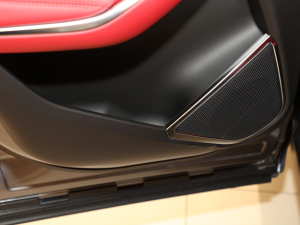 2021250PS R-Dynamic S g