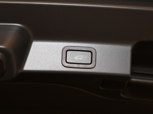 2021250PS R-Dynamic S g