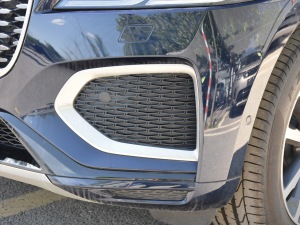 2021250PS R-Dynamic S (x)(ji)^