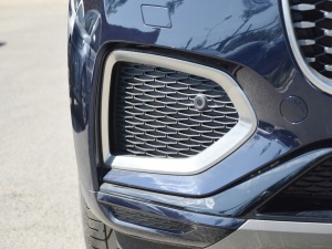 2021250PS R-Dynamic S (x)(ji)^