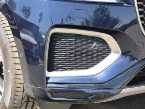 2021250PS R-Dynamic S (x)(ji)^