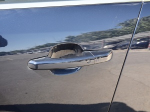 2021250PS R-Dynamic S {T