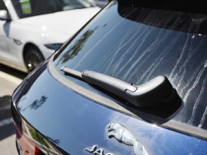 2021250PS R-Dynamic S (x)(ji)^