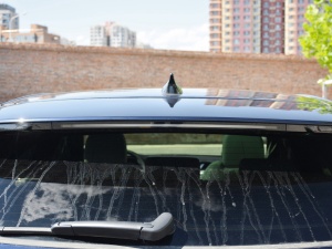 2021250PS R-Dynamic S (x)(ji)^