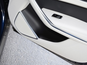 2021250PS R-Dynamic S g