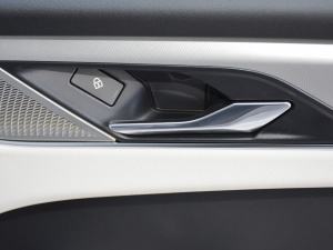 2021250PS R-Dynamic S g