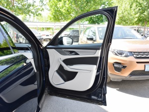 2021250PS R-Dynamic S g