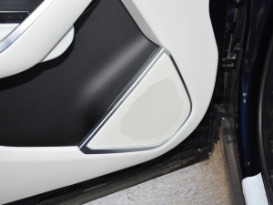 2021250PS R-Dynamic S g