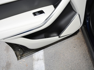 2021250PS R-Dynamic S g