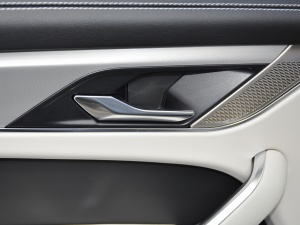 2021250PS R-Dynamic S g