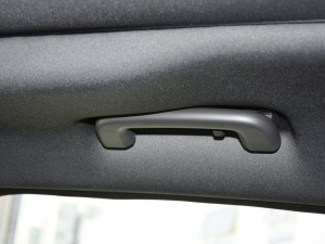 2021250PS R-Dynamic S g