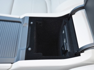 2021250PS R-Dynamic S g