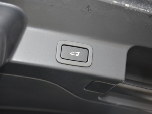 2021250PS R-Dynamic S g