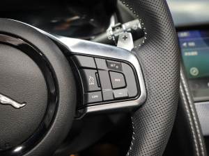 2022P300  R-DYNAMIC BLACK п؅^