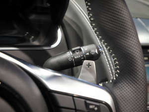 2022P300  R-DYNAMIC BLACK п؅^