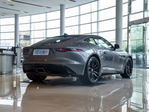 2022P300 Ӳ픰 R-DYNAMIC BLACK Һ45