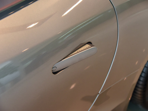 2022P300 Ӳ픰 R-DYNAMIC BLACK {T