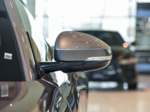 2022P300 Ӳ픰 R-DYNAMIC BLACK ^