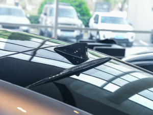 2022P300 Ӳ픰 R-DYNAMIC BLACK ^