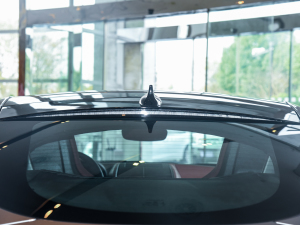 2022P300 Ӳ픰 R-DYNAMIC BLACK ^