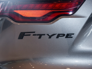 2022P300 Ӳ픰 R-DYNAMIC BLACK ^