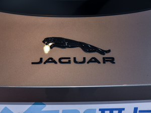 2022P300 Ӳ픰 R-DYNAMIC BLACK ^