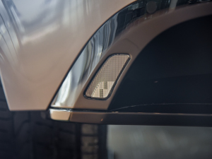 2022P300 Ӳ픰 R-DYNAMIC BLACK ^