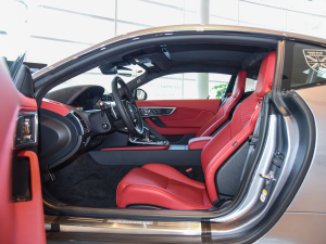 2022P300 Ӳ픰 R-DYNAMIC BLACK ǰſg