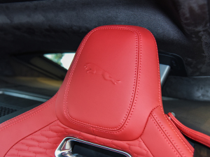 2022P300 Ӳ픰 R-DYNAMIC BLACK g