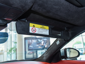 2022P300 Ӳ픰 R-DYNAMIC BLACK ꖰ壨ң