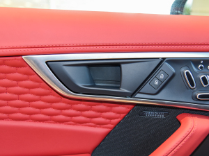 2022P300 Ӳ픰 R-DYNAMIC BLACK п؅^