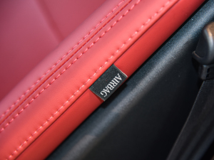 2022P300 Ӳ픰 R-DYNAMIC BLACK п؅^